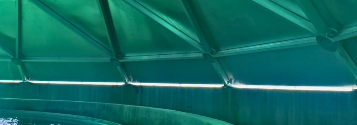 RPS GEO Dome